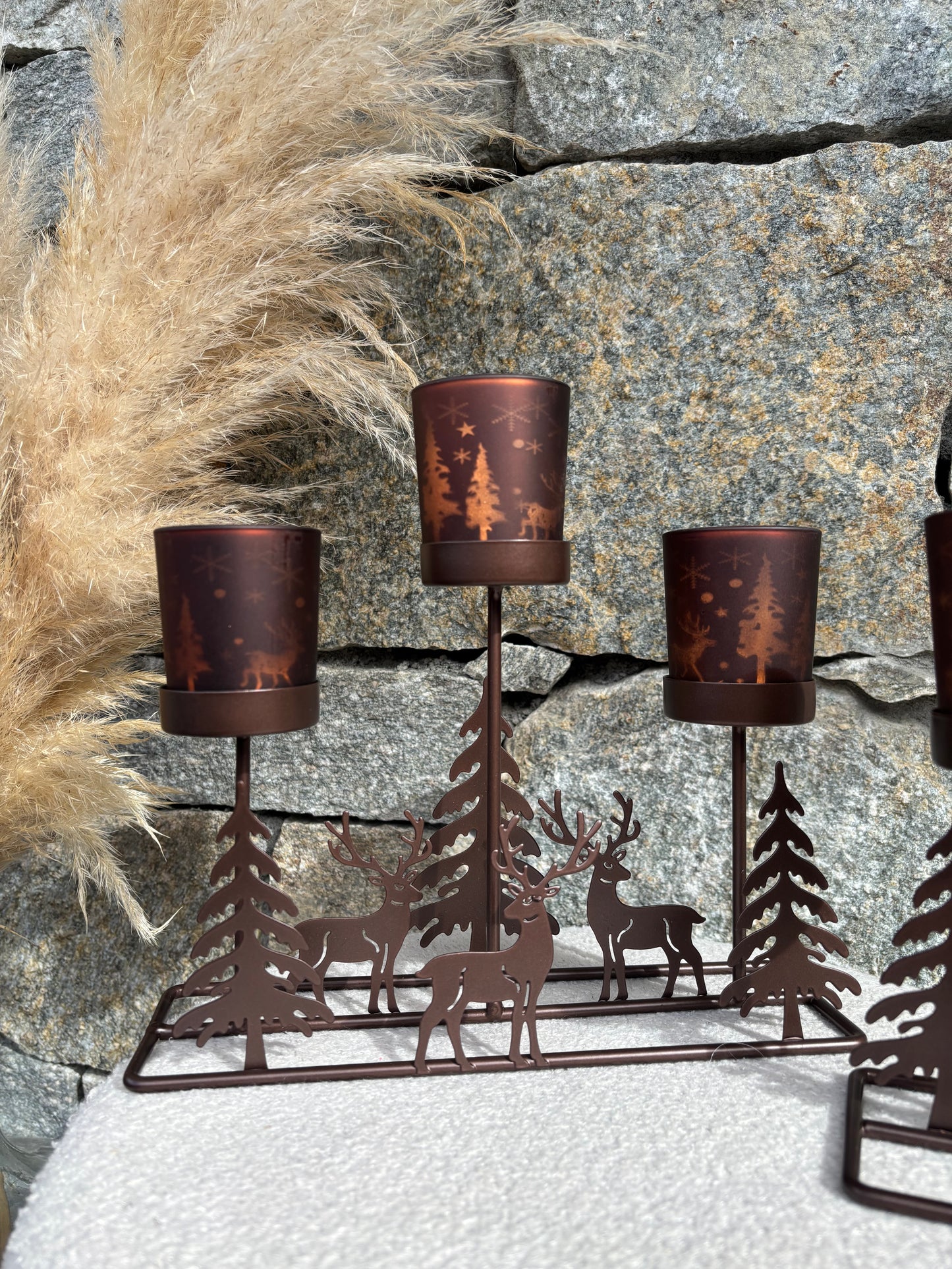 Photophore CERF