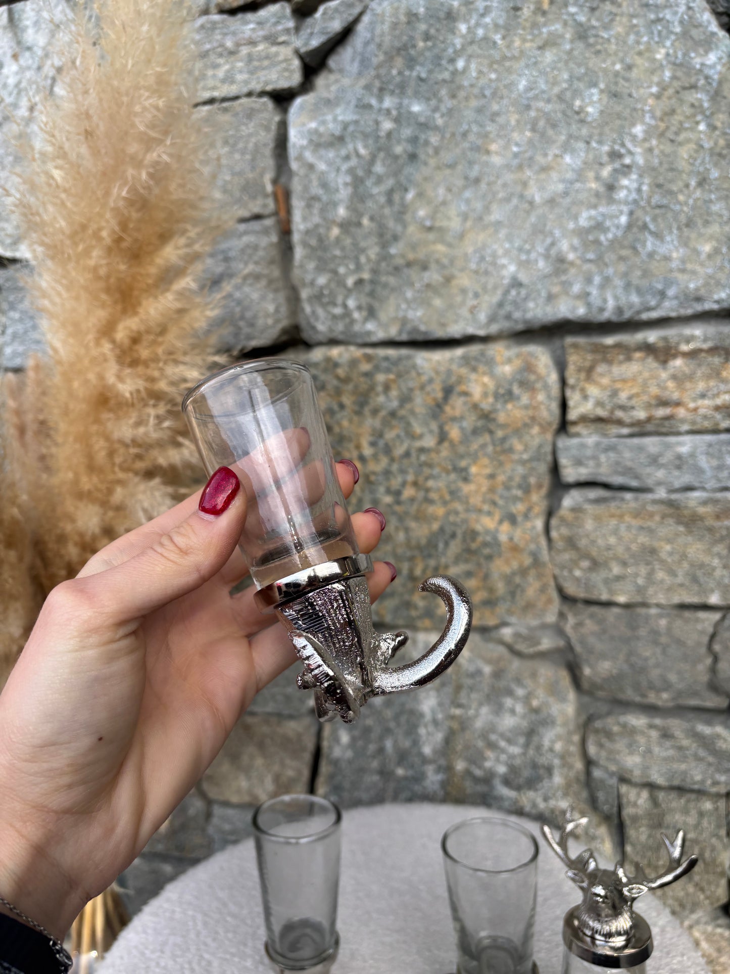 Shooters CERF et BOUQUETIN