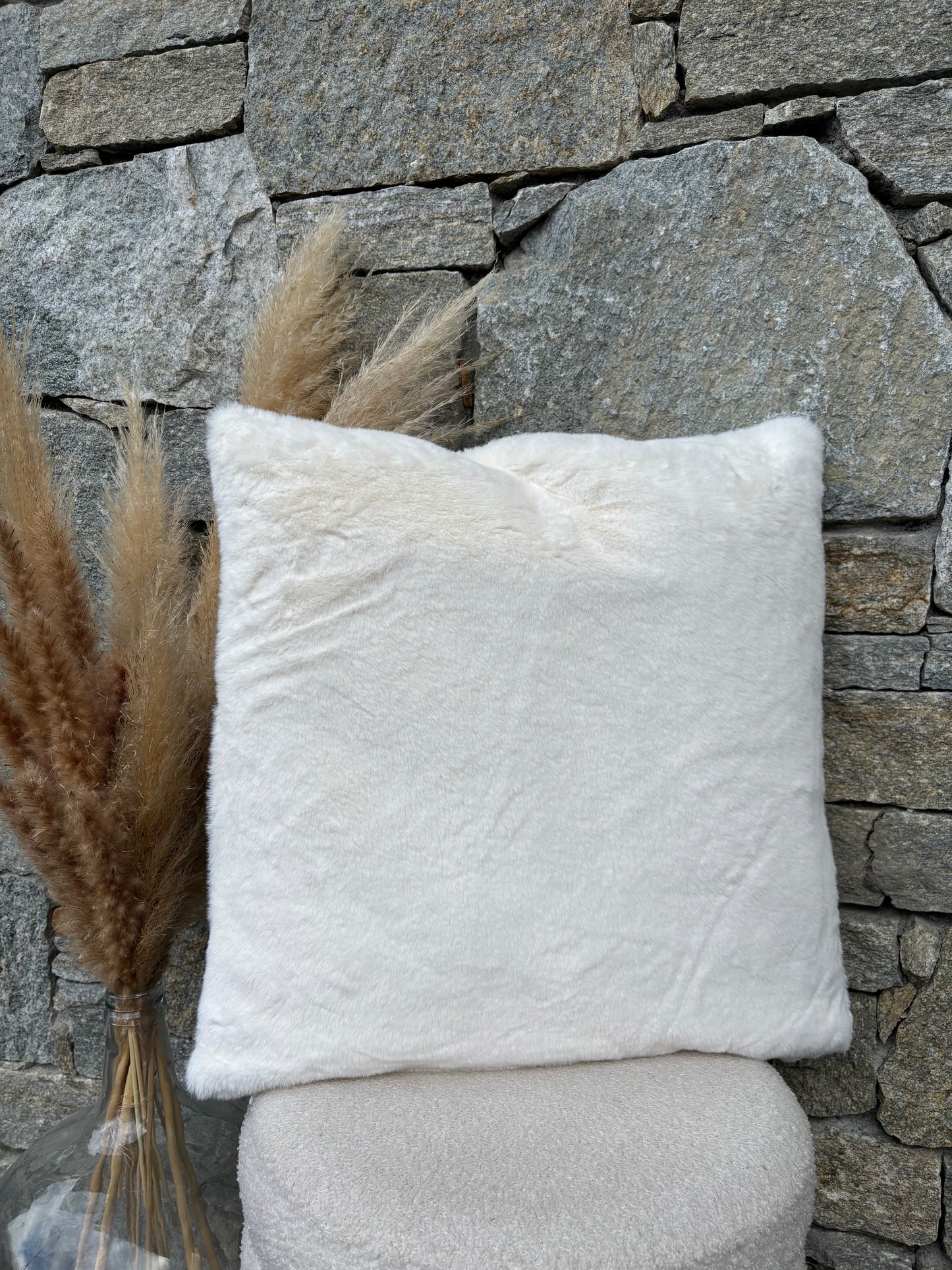 Coussin CERF