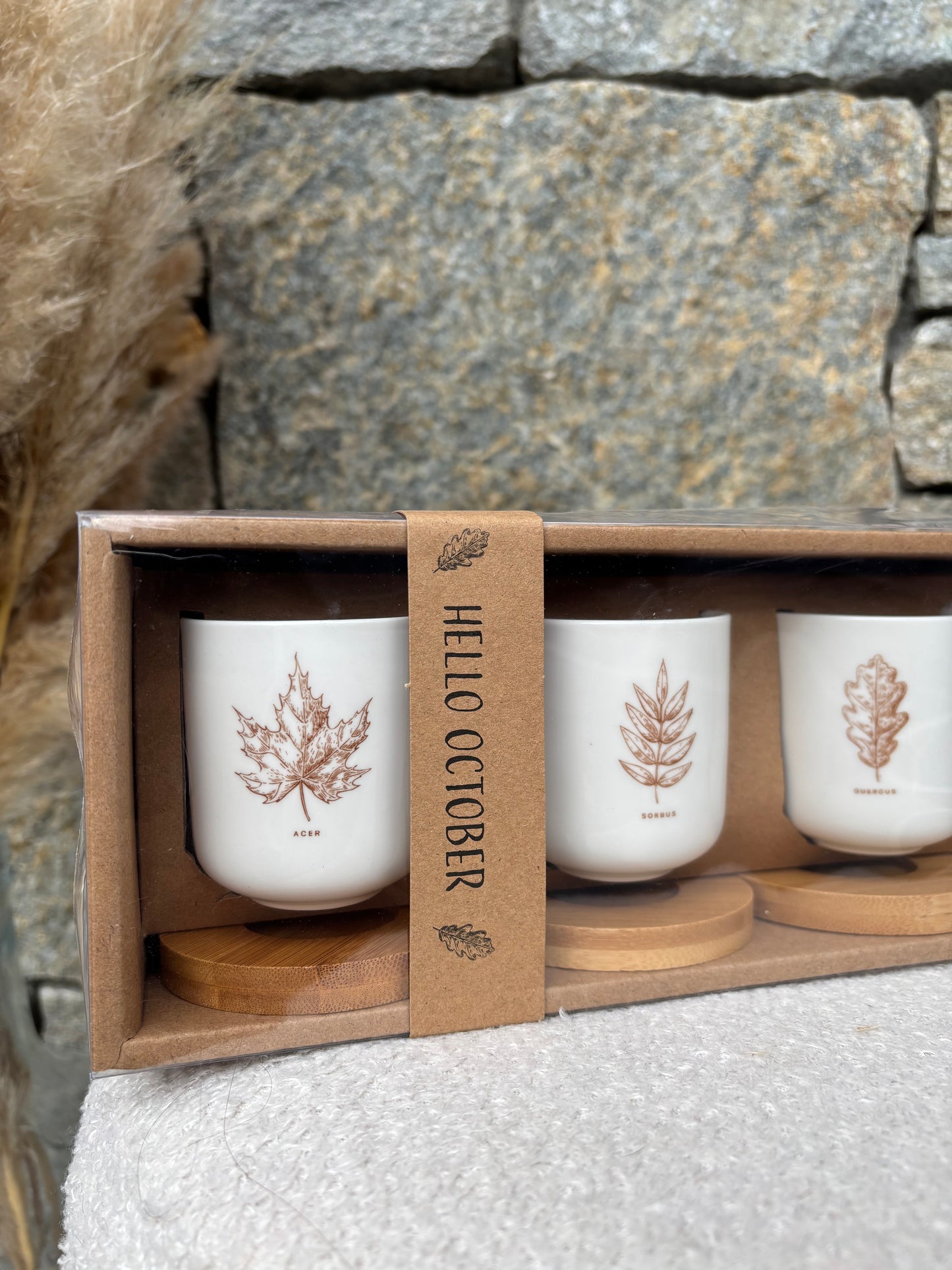 Coffret 4 tasses à café AUTOMNE