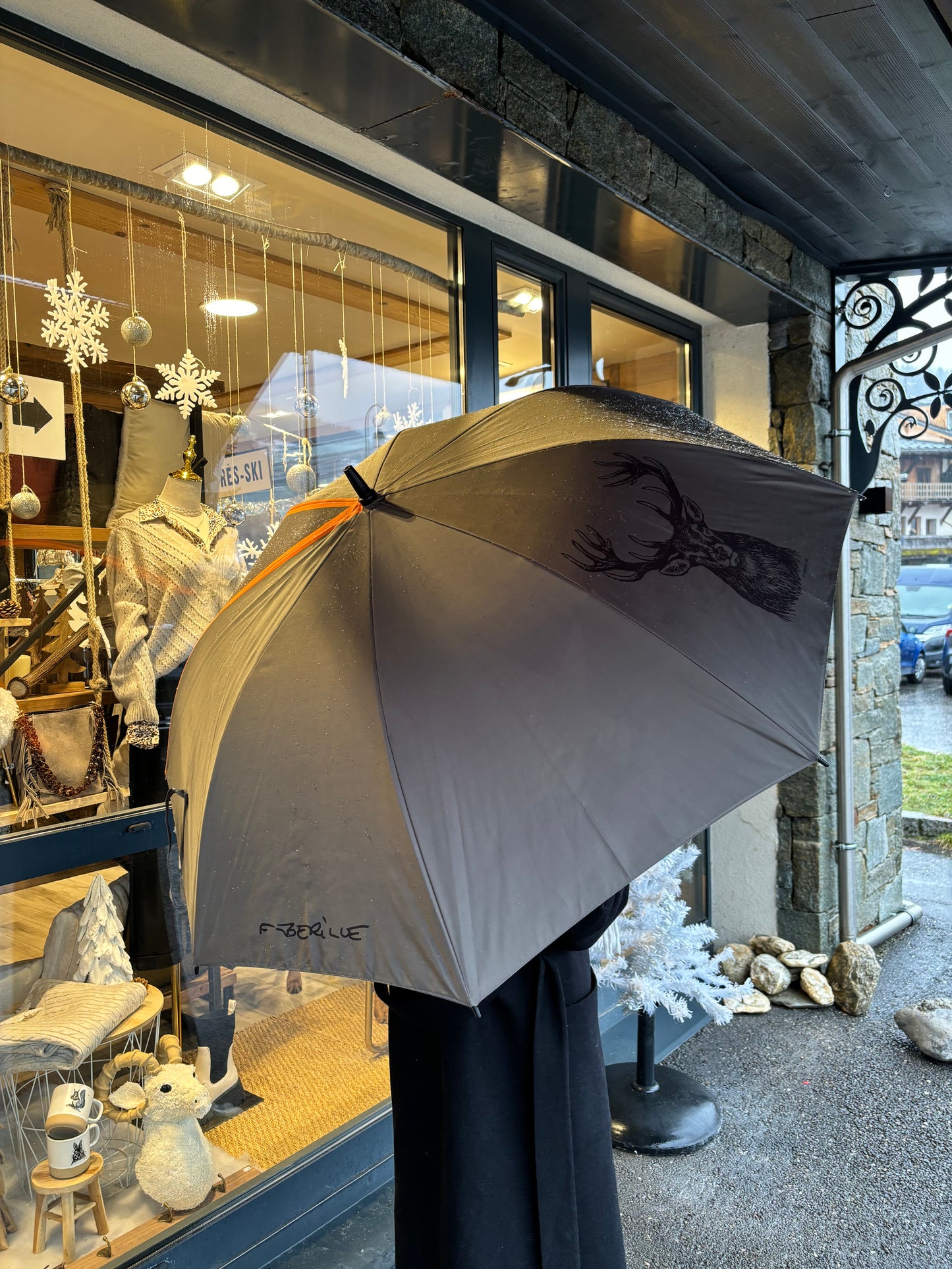 Parapluie CERF