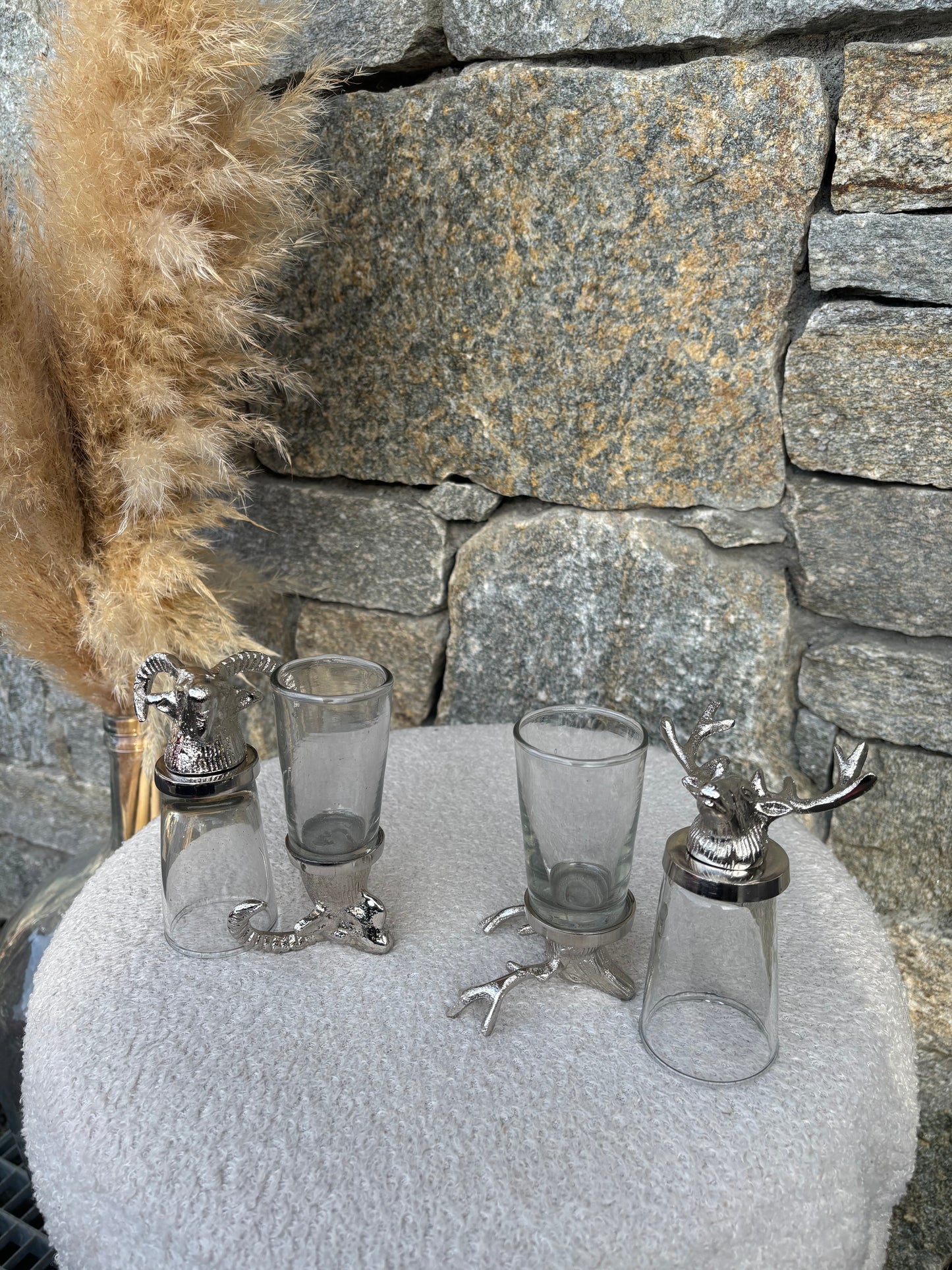 Shooters CERF et BOUQUETIN