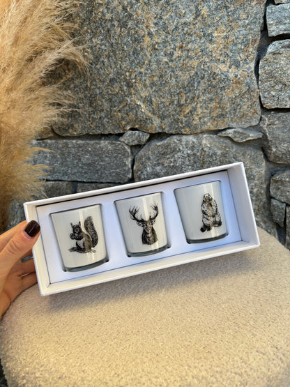 Coffret 3 bougies CERF