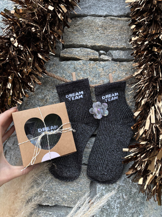 Coffret CHAUSSETTES DREAM TEAM ET SA PINCE