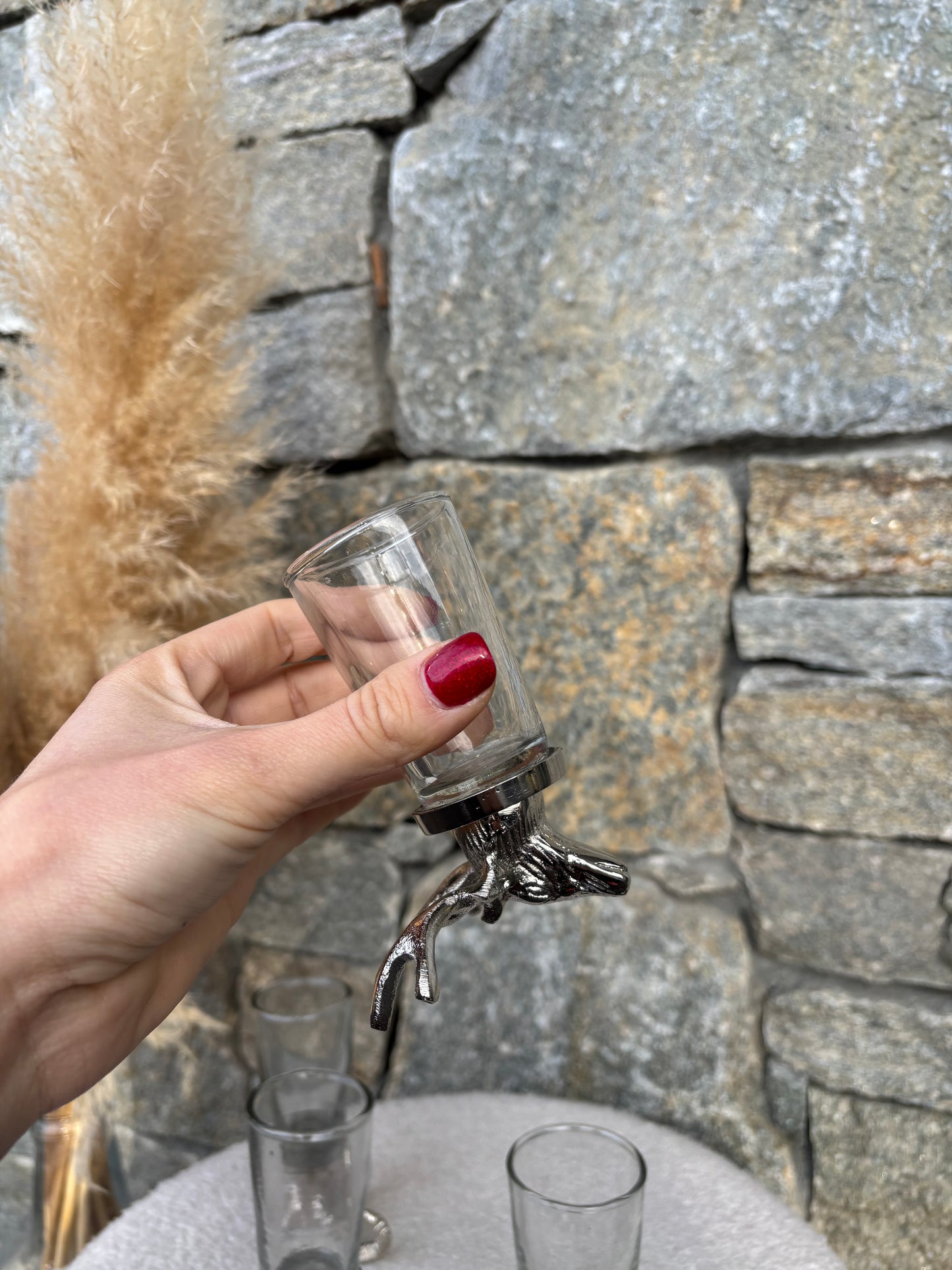 Shooters CERF et BOUQUETIN