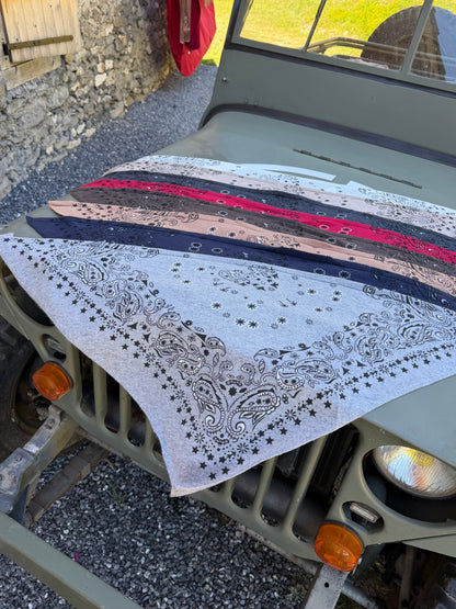 Bandana TEXANA