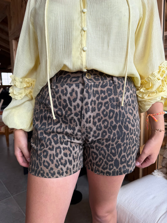 Short SOHAN