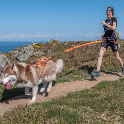 Longe Canicross PALMA